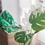Apartament Kamienica Legionow * Гданьск